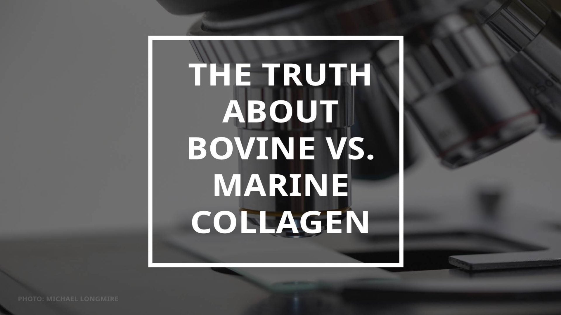 Bovine vs Marine Collagen: Which Is Better for Skin? – Puraz NZ