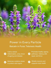 Skin/Longevity Combo