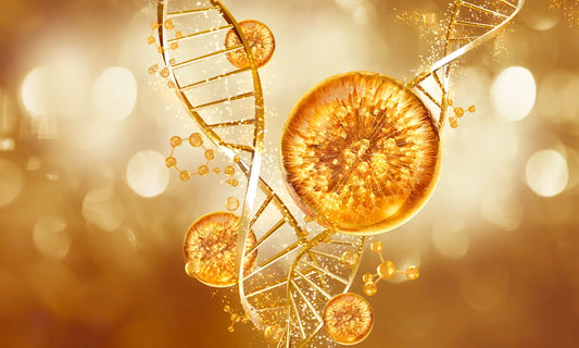 Kiwifruit, citrus, berries and collagen supplements arranged for a vitamin C and collagen routine