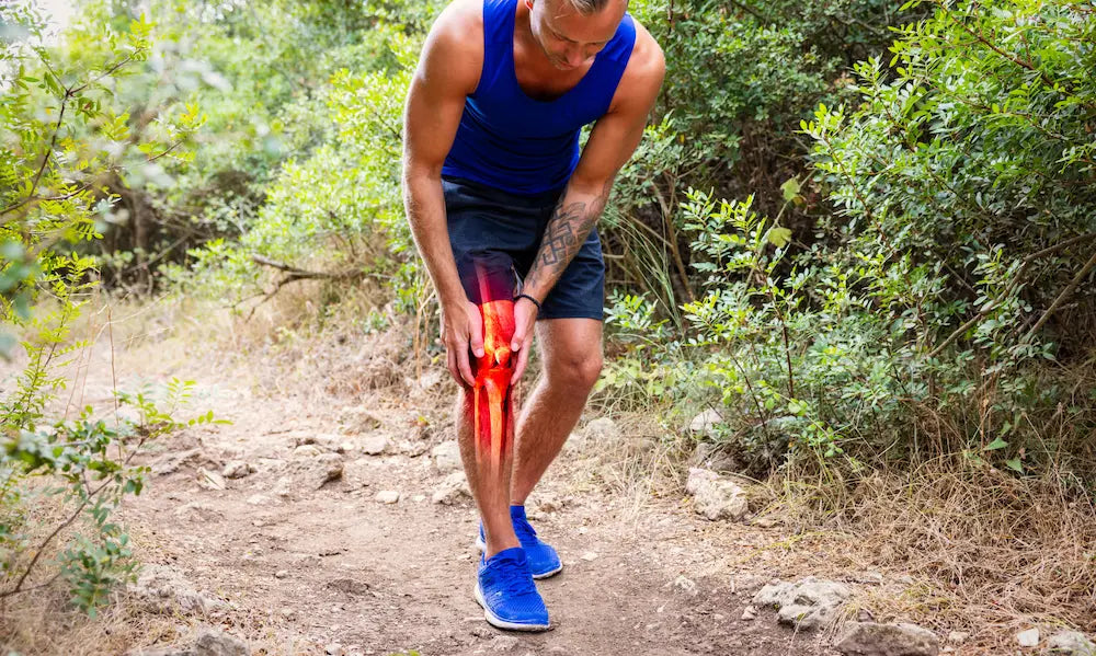 Are Joint Supplements Worth It? What Makes One Worth Paying For in NZ