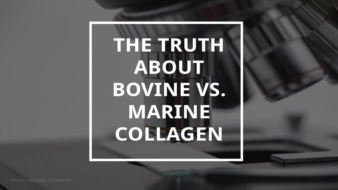 Bovine vs. Marine Collagen: Which is better?