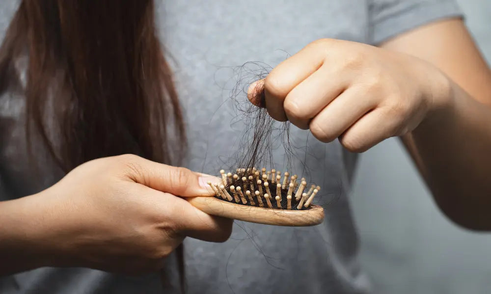 Hair breakage vs hair loss shown by full-length shed strands and shorter broken hairs in a brush