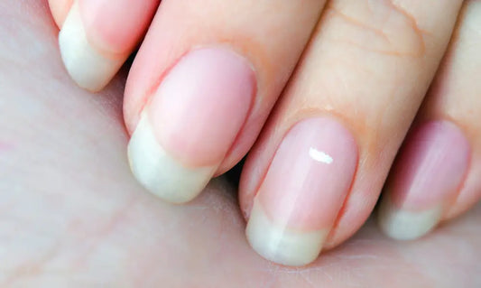 Healthy natural fingernails illustrating the small scale of average monthly fingernail growth for Puraz NZ