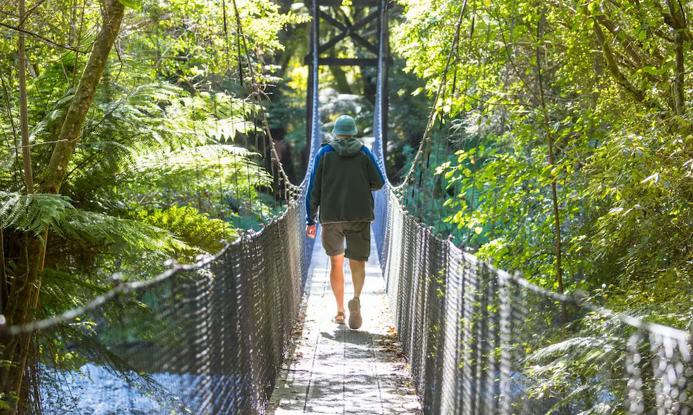 Adult tramper with a day pack on a New Zealand track during a longer day walk