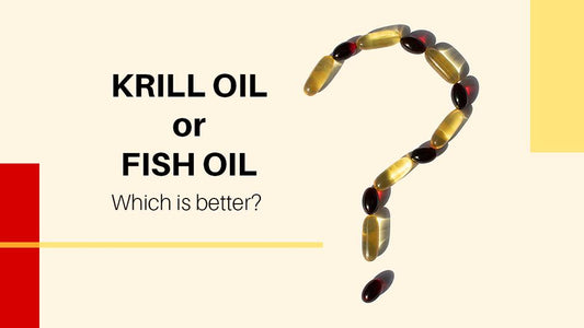 Krill Oil or Fish Oil, Which is Better?