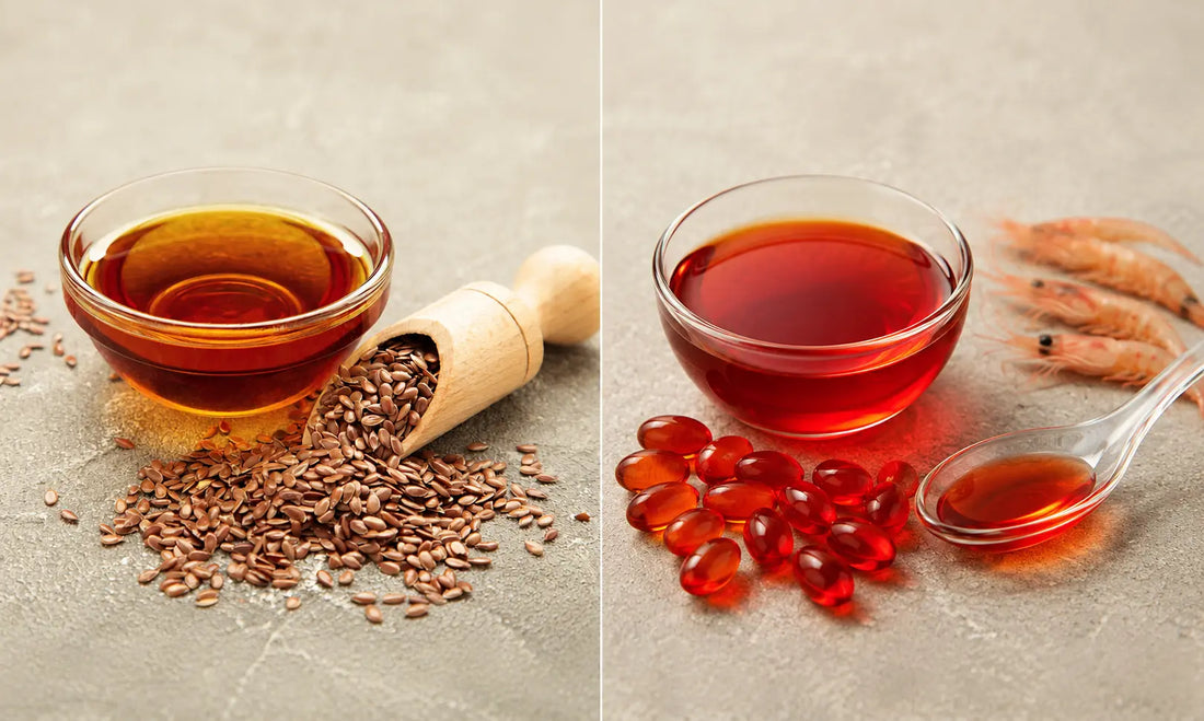 Krill oil softgels beside flax seeds and flaxseed oil, illustrating ALA compared with EPA and DHA