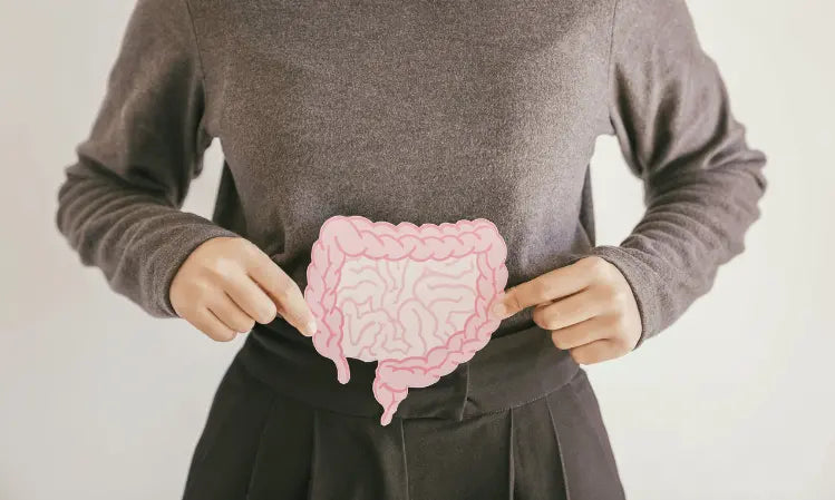 Probiotics for Women NZ: How to Choose by Goal, Strains and Safety