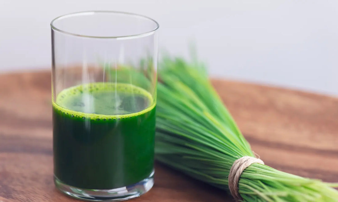 Green wheatgrass powder smoothie with pineapple, kiwifruit and young wheatgrass shoots for a Puraz Super Greens routine