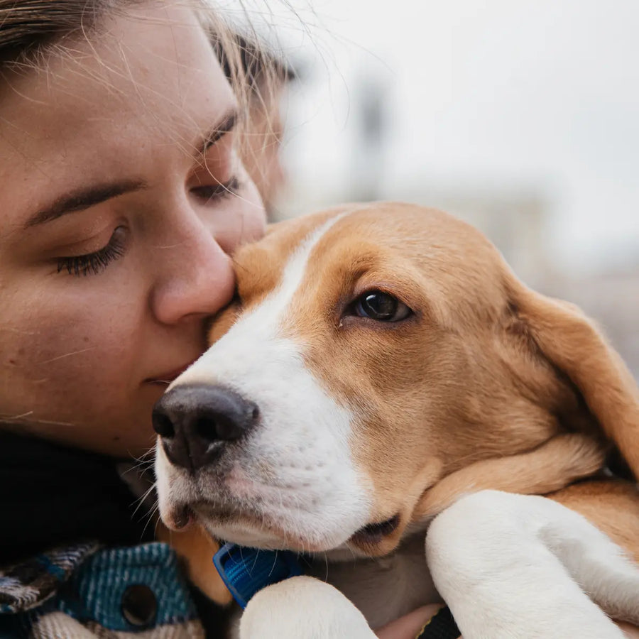 Pet Supplements NZ