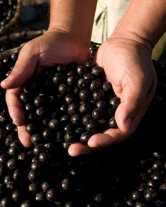 Antioxidants are part of the picture