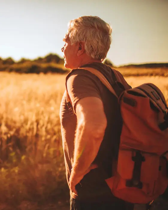 Collagen and hyaluronic acid for joints