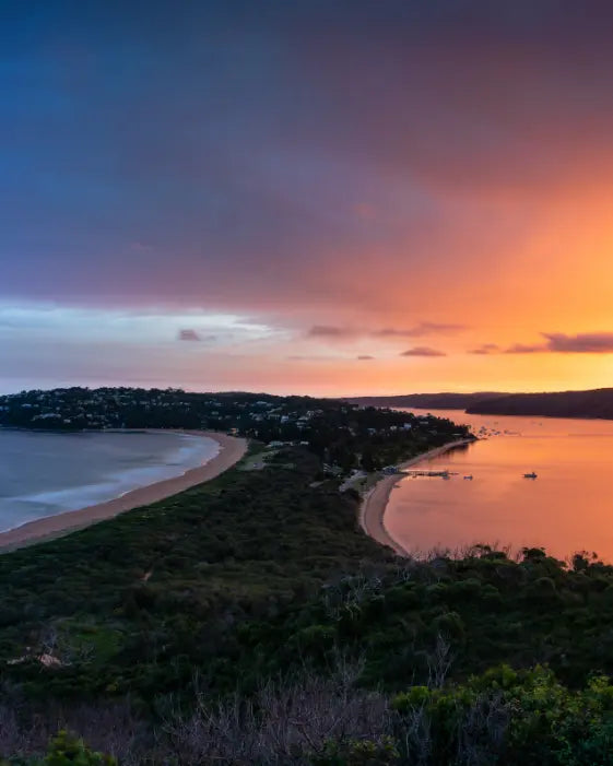 Daily wellness supplements NZ for morning and evening