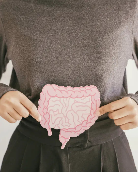 Gut health and immunity are linked