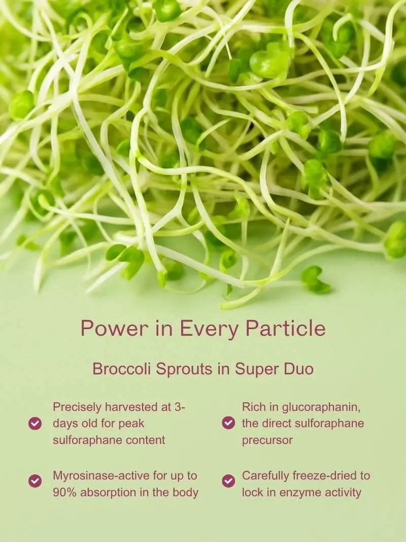Super Duo