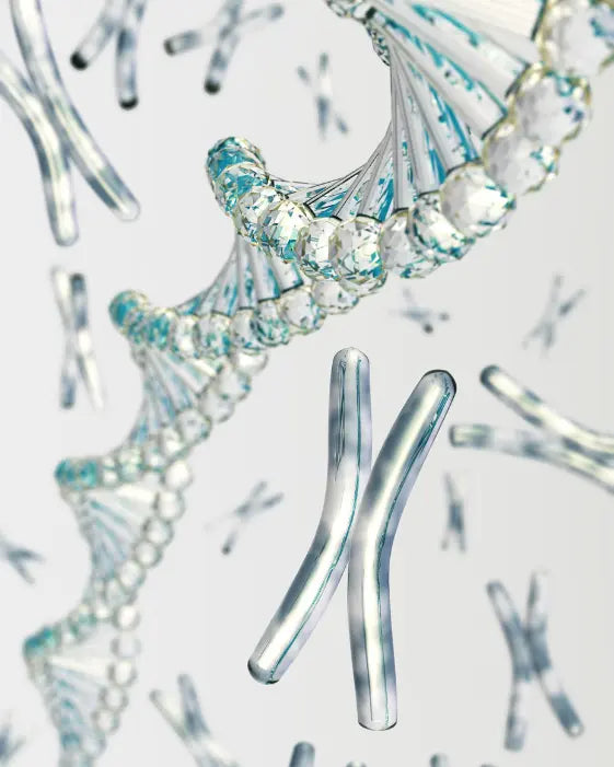 Start with telomere support