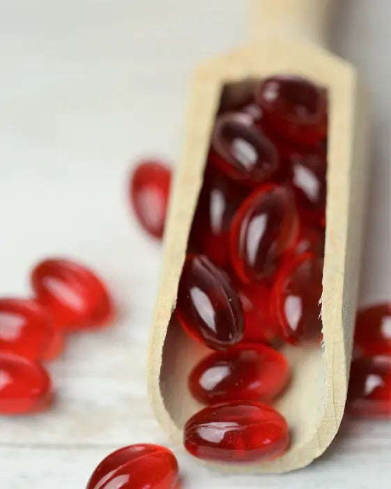 Where krill oil fits