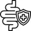Gut and immunity link