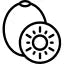 Prebiotic kiwifruit