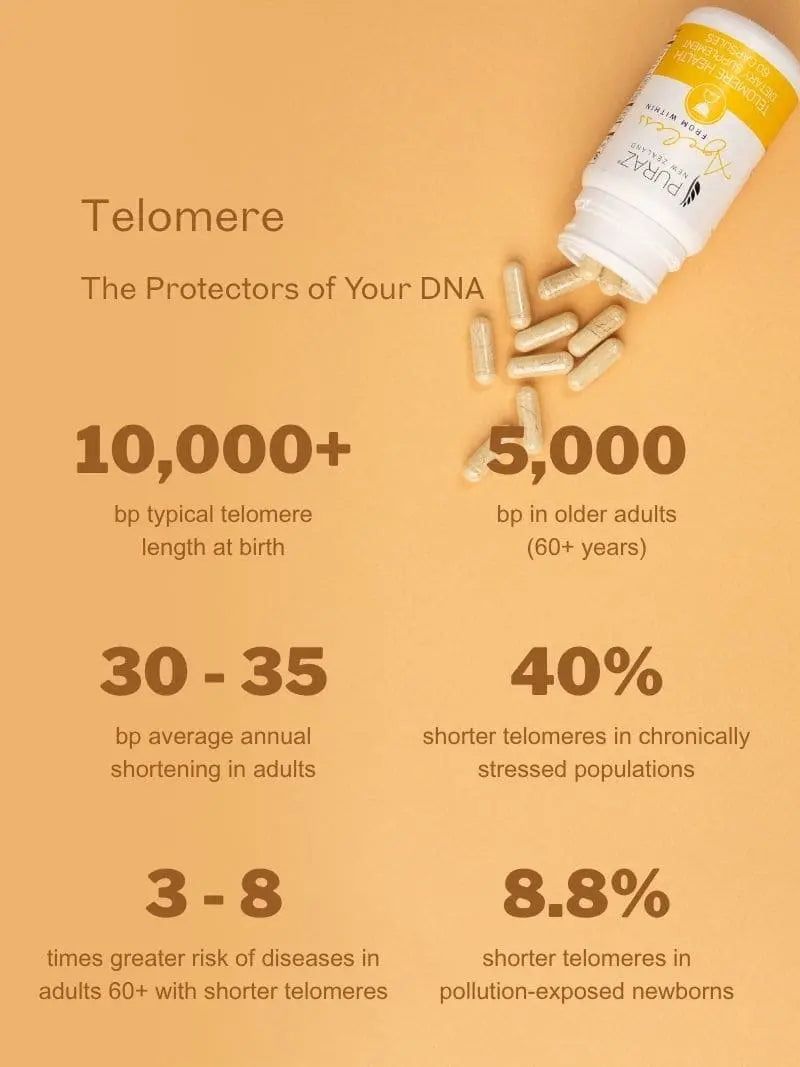 Telomere Health
